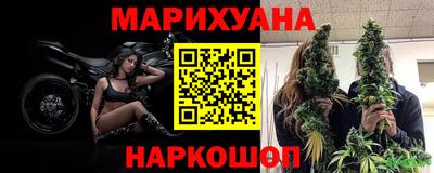 прущие грибы Краснознаменск