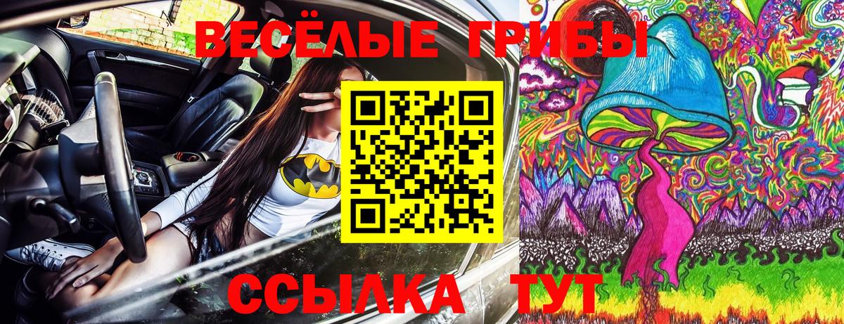 Псилоцибиновые грибы Magic Shrooms  Вход с VPN  Карачаевск 